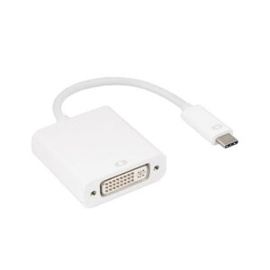 Converter Usb C To Dvi 24+5 Female (1m)