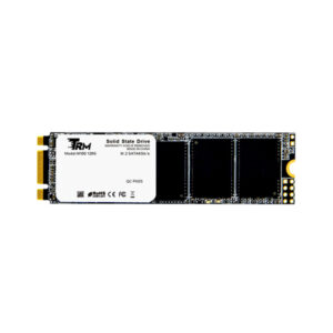 Ssd Trm 256gb M.2 M100 (2y)