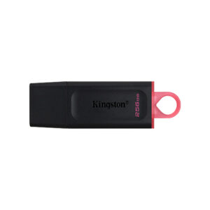 Pen Drive Kingston 256gb Dtx Usb 3.2 (3y)